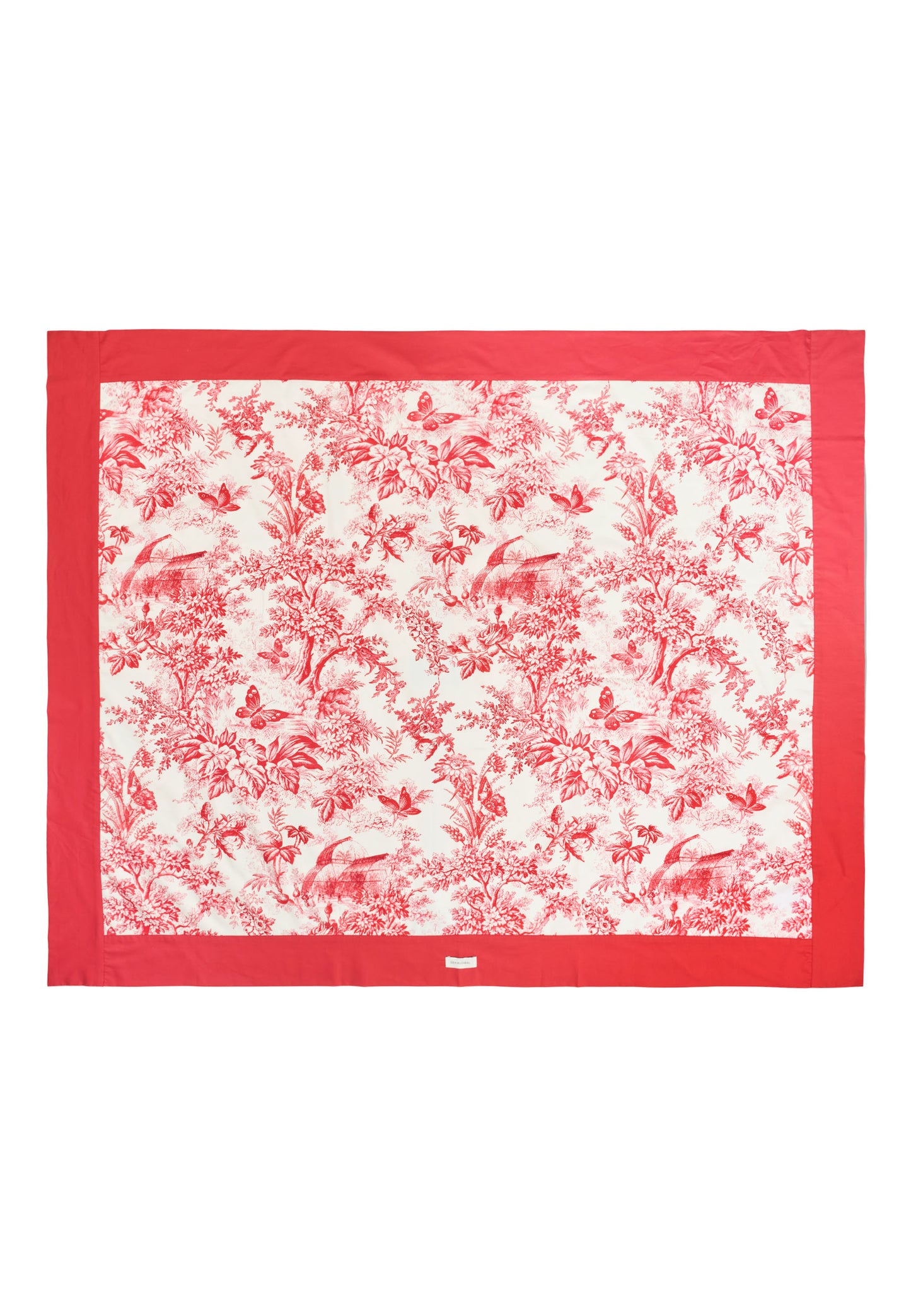 LEONTINEDEA  - DEA KUDIBAL - KEW GARDENS RED