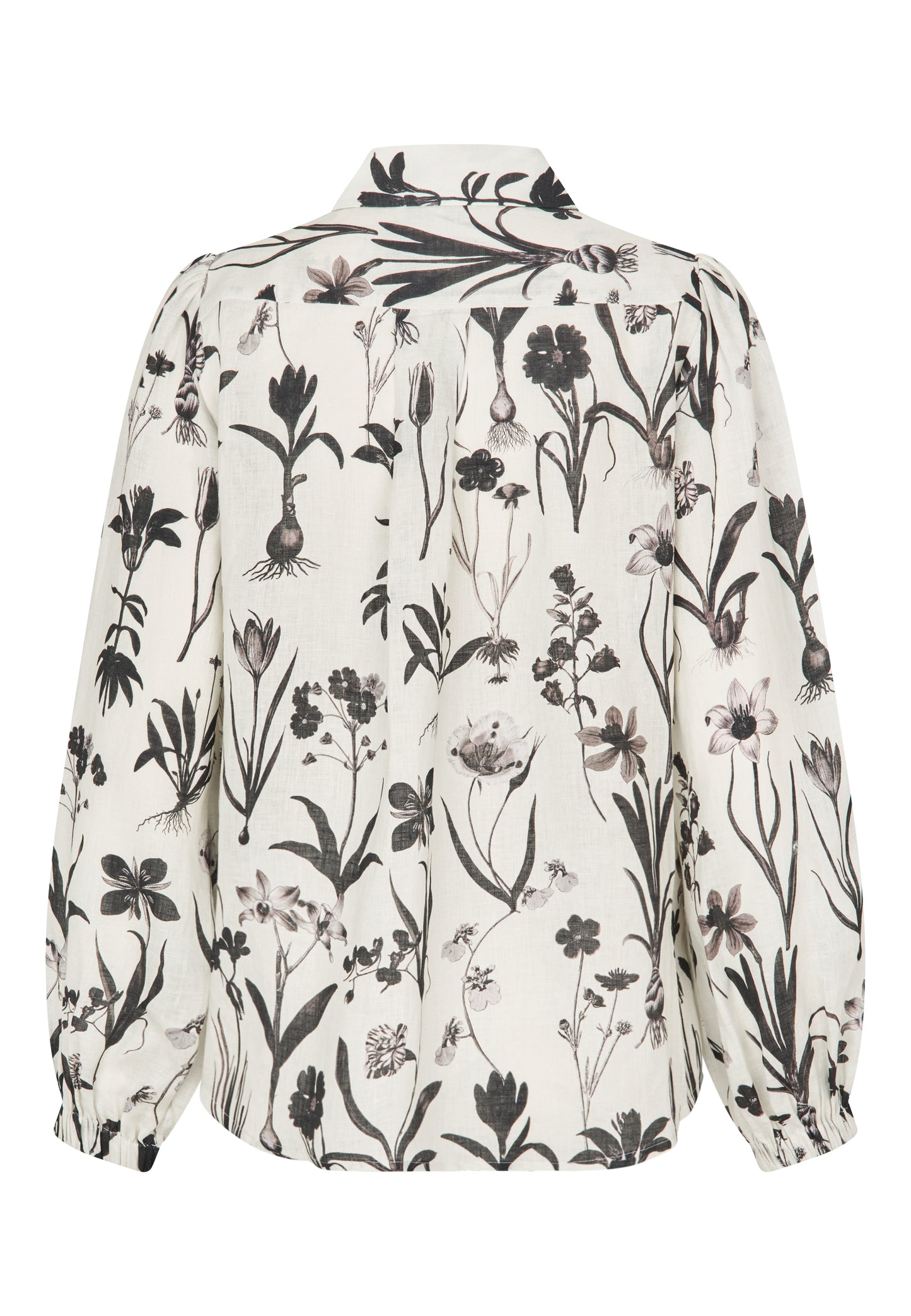 SIOMADEA - DEA KUDIBAL - FLOWER SEEDS